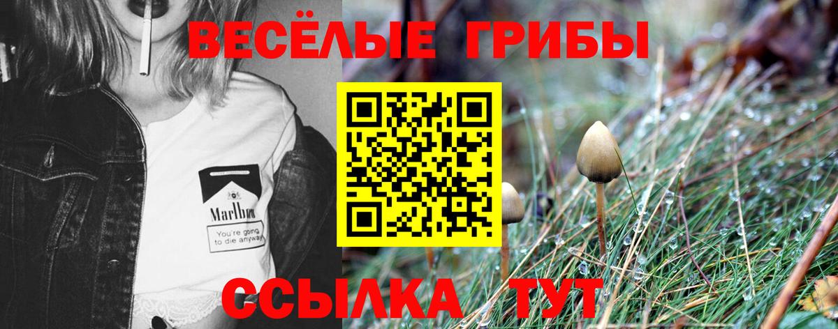 Топки  Псилоцибиновые грибы мухоморы  Вход с VPN 